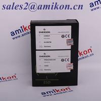 Emerson FBM242  | DCS Distributors | sales2@amikon.cn 